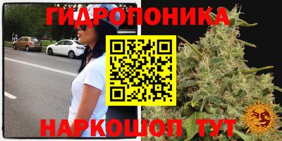 экстази Заводоуковск