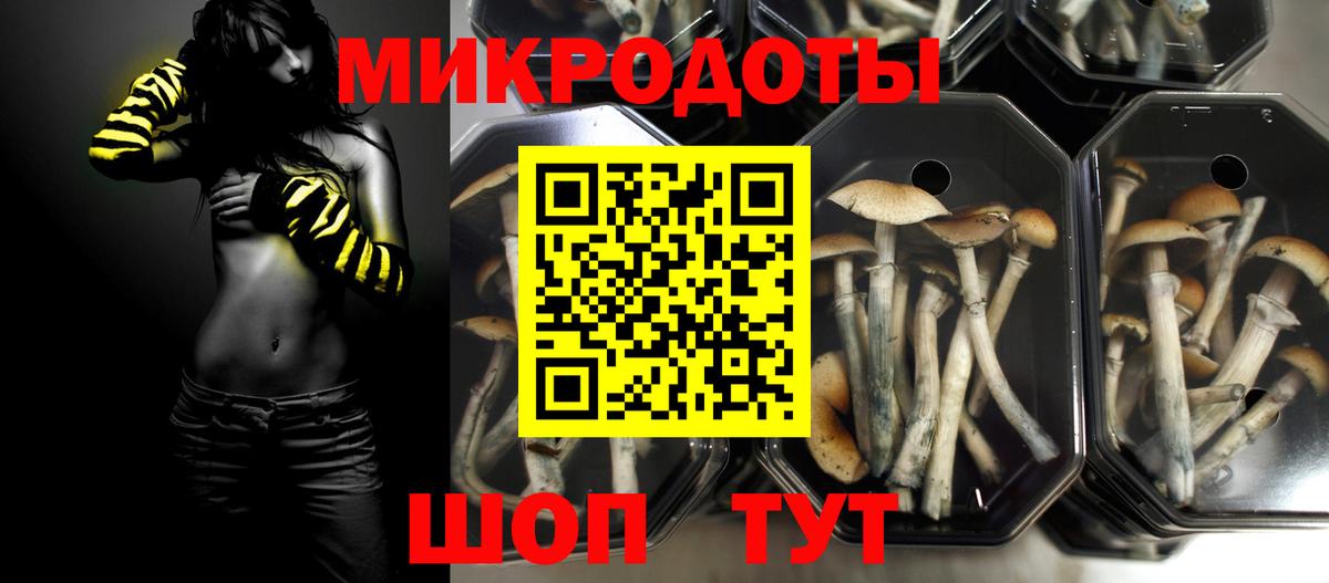 Псилоцибиновые грибы мицелий  Вход с VPN  Можга 